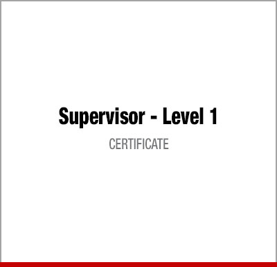 Supervisor Level 1